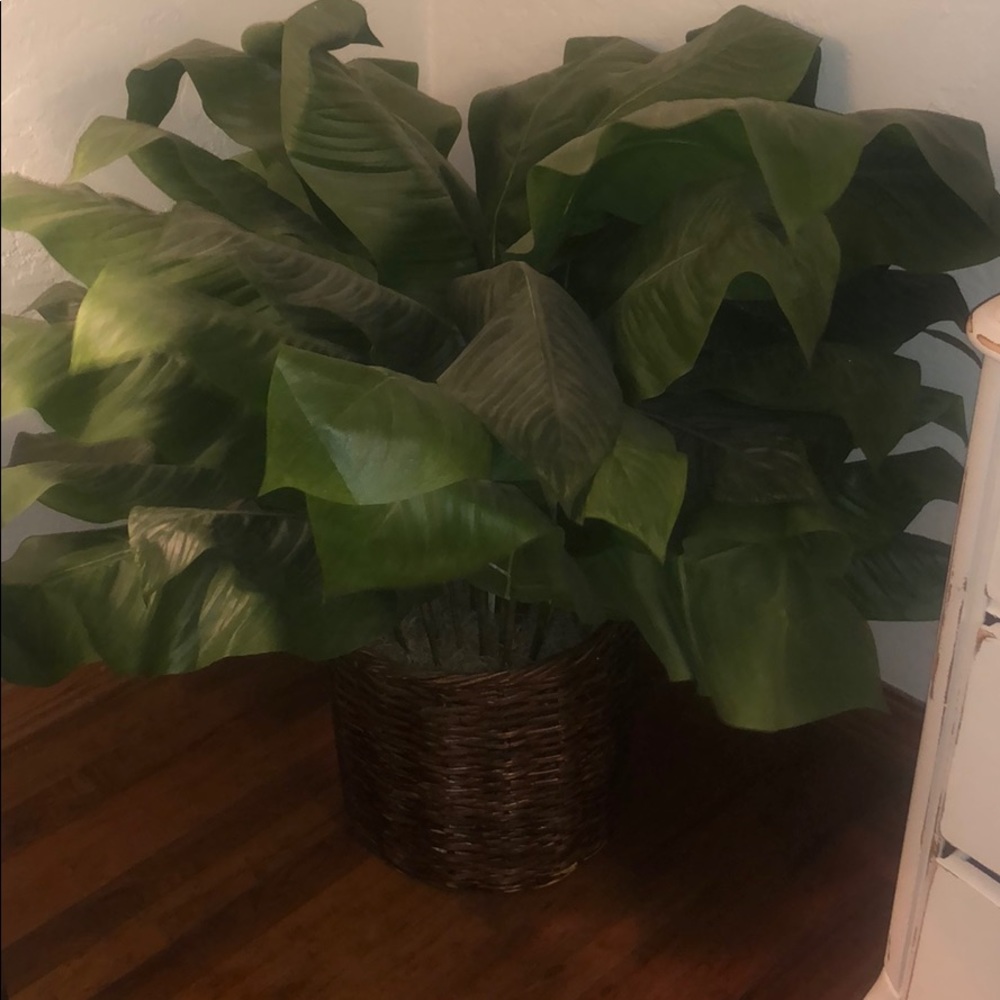 Local pickup only!!! Faux indoor plant
